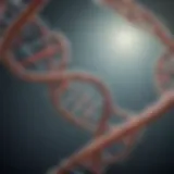 Illustration of DNA double helix structure showcasing genetic information.