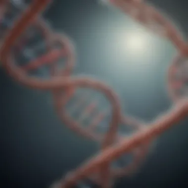 The Elegant Structure of DNA Illustration of DNA double helix structure showcasing genetic information.