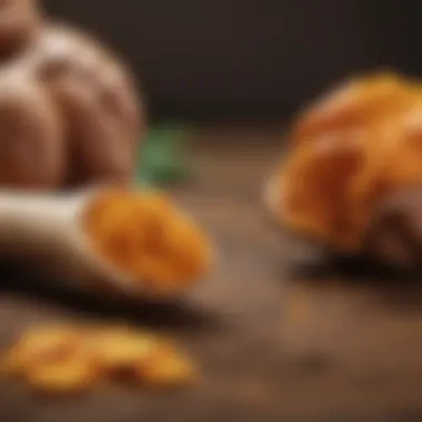Turmeric and Prostate Health Illustration of prostate health with turmeric's anti-inflammatory effects