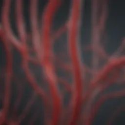 Diagram illustrating blood flow dynamics in TTTS.