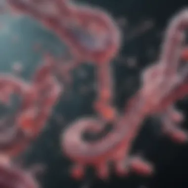 Genomic Biomarkers in Cancer Research Illustration of genomic biomarkers in cancer research
