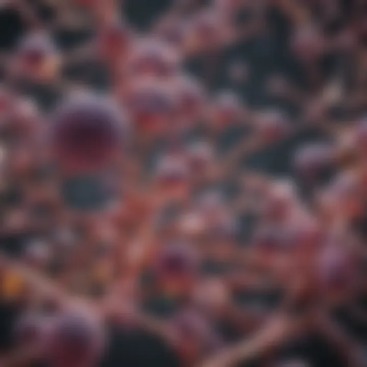 Metabolomic biomarkers and their role in personalized medicine