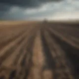 A field devastated by conflict showcasing the impact on agricultural land