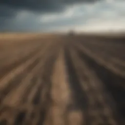 A field devastated by conflict showcasing the impact on agricultural land