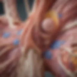 Anatomical diagram of adrenal glands highlighting different types of lesions