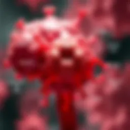 Graphical representation of amyloid types