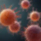 Conceptual illustration of the immune system attacking healthy cells