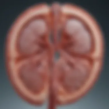 Diagnostic Approaches for Autosomal Polycystic Kidney Disease Diagnostic techniques used for APKD evaluation