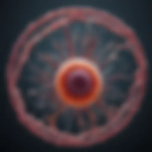 Conceptual representation of Bcr-Abl fusion protein