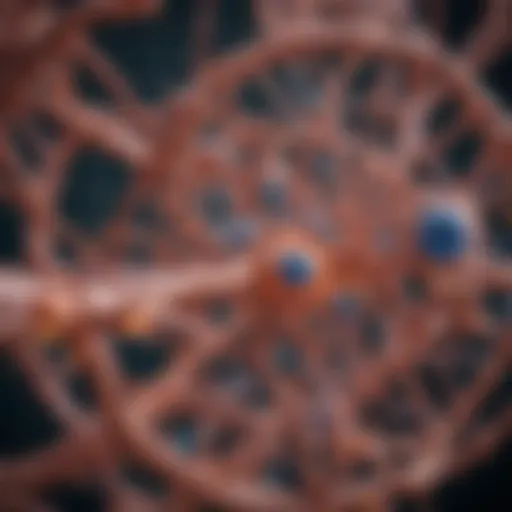 Structure of beta galactosidase highlighting active sites