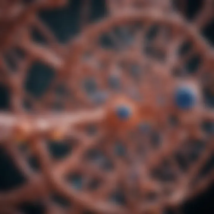Structure of beta galactosidase highlighting active sites