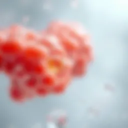 Understanding Bile Salts: Function and Importance in Digestion Introduction