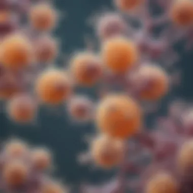 Microscopic Examination of Candida Microscopic view of Candida yeast cells