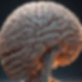 Illustration of the brain highlighting the visual cortex and its connection to vision.