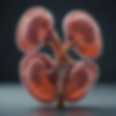 Diagnostic Methods for Cystic Kidney Disease Visual guide on diagnostic methods for kidney diseases