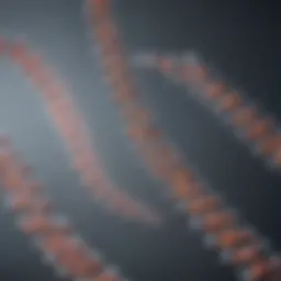 Schematic representation of DNA bisulfite treatment