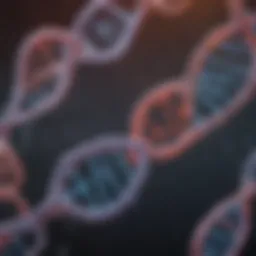 Mechanism of DNA-PK inhibition in cancer cells