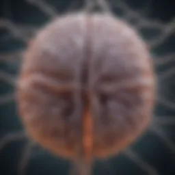 Illustration depicting the brain's neural pathways affected by Parkinson's disease