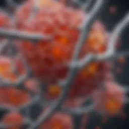 Molecular structure of fructose