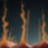 Representation of uric acid levels in the bloodstream