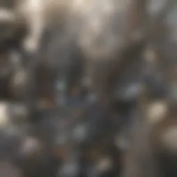 Diagram illustrating the physiological mechanisms of high metabolism