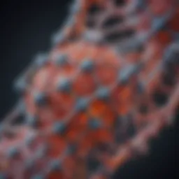 Molecular structure of high-risk HPV DNA