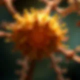 Understanding IDH Cancer: Insights and Implications Introduction