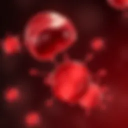 Understanding Inflammation in Blood: Mechanisms, Effects, and Implications Introduction