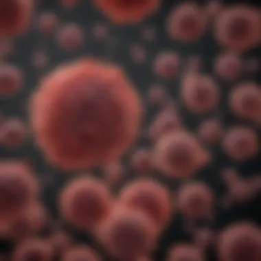 Risk Factors for Large B-Cell Non-Hodgkin Lymphoma Graph depicting risk factors associated with large B-cell non-Hodgkin lymphoma