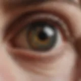 Detailed illustration of the macula and its anatomy