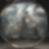 Microscopic view of mesenchymal stem cells showcasing their unique morphology