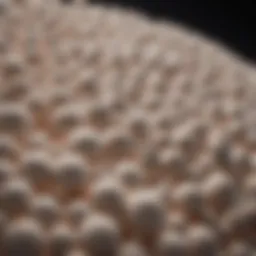 Illustration of molecular sieve structure highlighting pore sizes