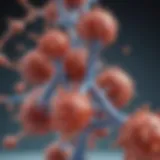 Illustration depicting the structure of monoclonal antibodies