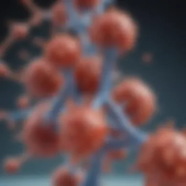 Illustration depicting the structure of monoclonal antibodies