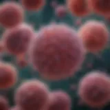 Illustration depicting MRSA bacteria under a microscope