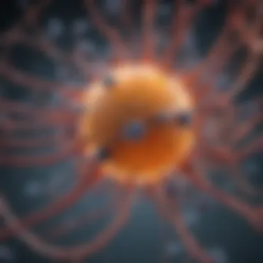 NAD+ in Cellular Metabolism Cellular metabolism illustration demonstrating NAD+ role