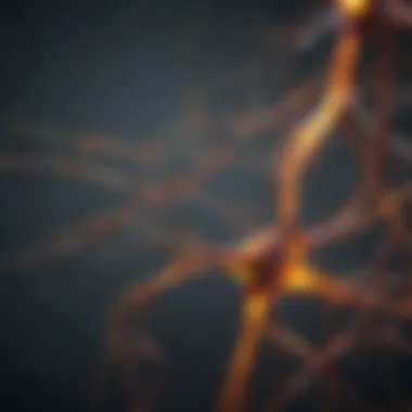 Electrical Signaling in Neurons Diagram showing electrical signaling between neurons