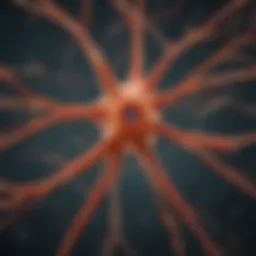 Detailed illustration of a neuron highlighting its components