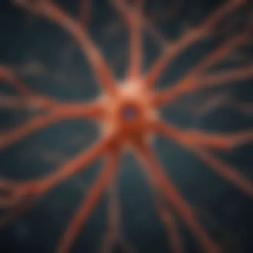Detailed illustration of a neuron highlighting its components
