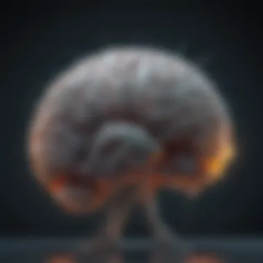 Neuroplasticity and Its Significance Schematic representation of neuroplasticity in the brain