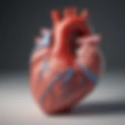 Illustration depicting the heart's anatomy in relation to congestive heart failure.