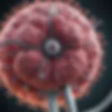 Detailed diagram of osimertinib mechanism of action