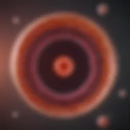 Detailed illustration of the ovulation cycle phases
