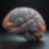 Visual representation of a PET scan highlighting brain activity