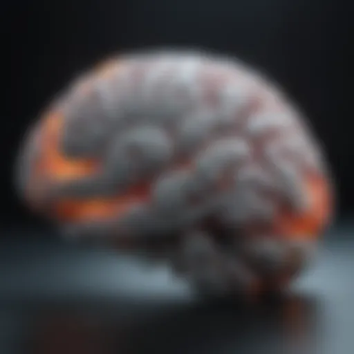 Visual representation of a PET scan highlighting brain activity