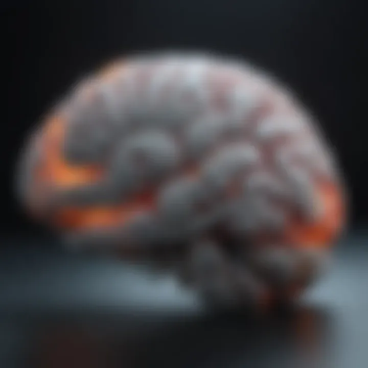 Visual representation of a PET scan highlighting brain activity