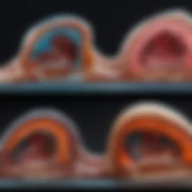 Normal vs Abnormal PET Scan Images Comparison of normal and abnormal PET scan images