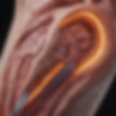 Imaging techniques for diagnosing plaque in the abdominal aorta