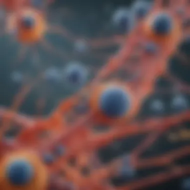 Functions of Protein Micelles in Biology Illustration depicting the role of protein micelles in cellular processes.
