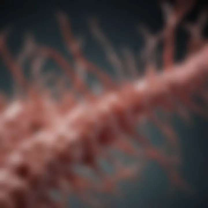 pTau accumulation in neurons